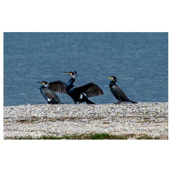 PHOTO84, CLUB, 84 , LUBERON